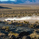 Illustration for article titled Here Are Some Nice Pictures Of The Scuderia Cameron Glickenhaus Baja Boot